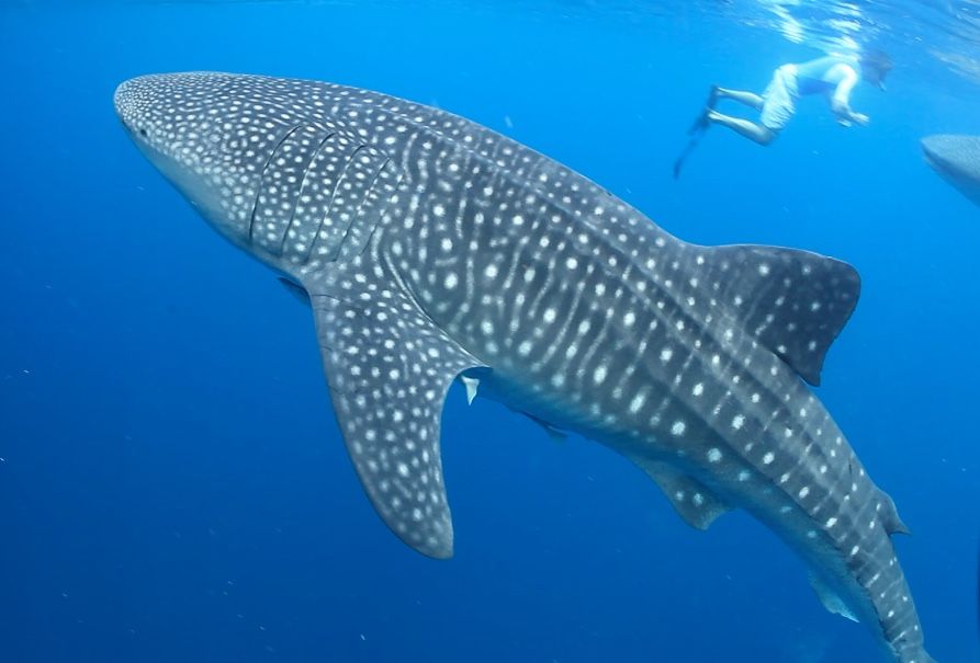 38675d63-761c-45f3-a303-9cd53a368f57