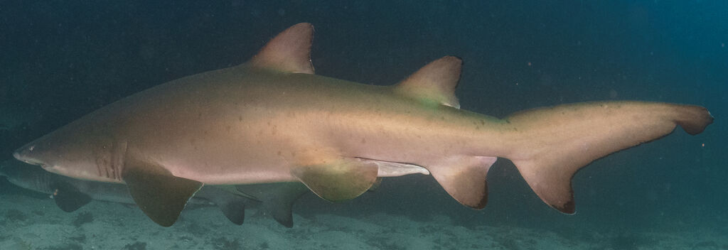 f36d3dea-86c0-4aa6-9f84-6ef9bbf5634f