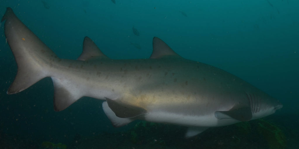 e835ea06-fb1c-4797-998f-10ad31f28679