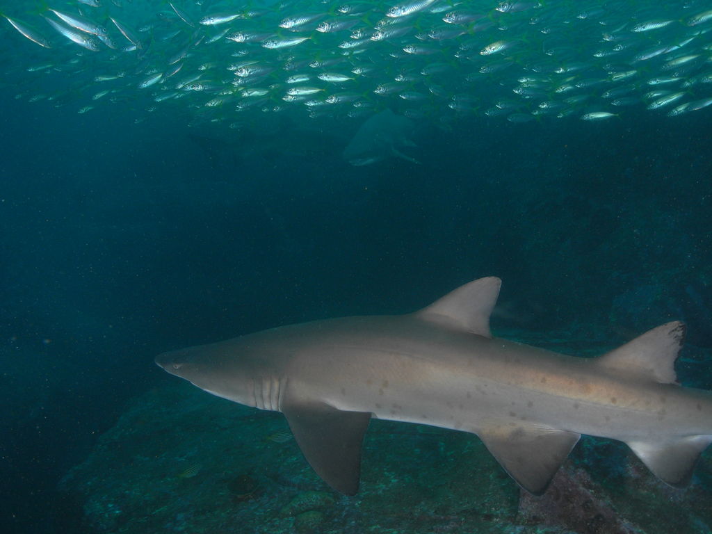 7beb463f-0516-4003-9315-8fc0015d2019