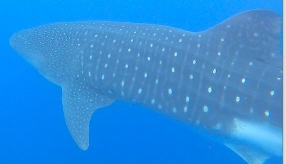 46d0774b-5f63-458b-91ca-1f4f438f74bc