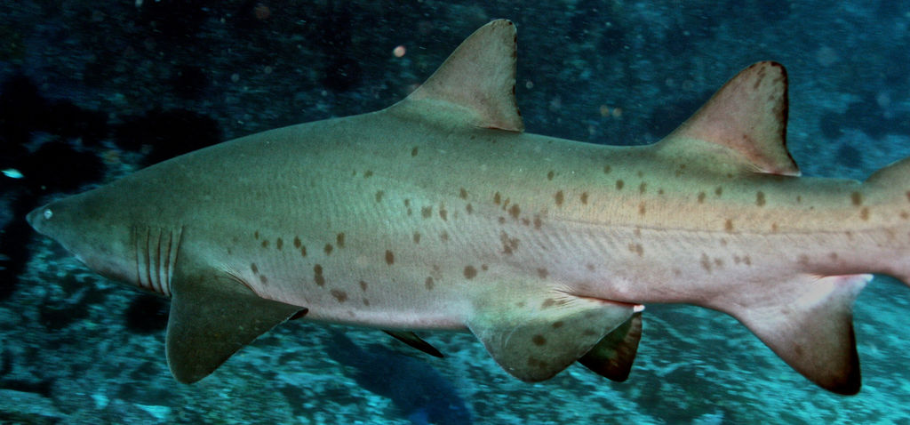 6bf45ed1-e700-48a2-b711-00b7411016b4