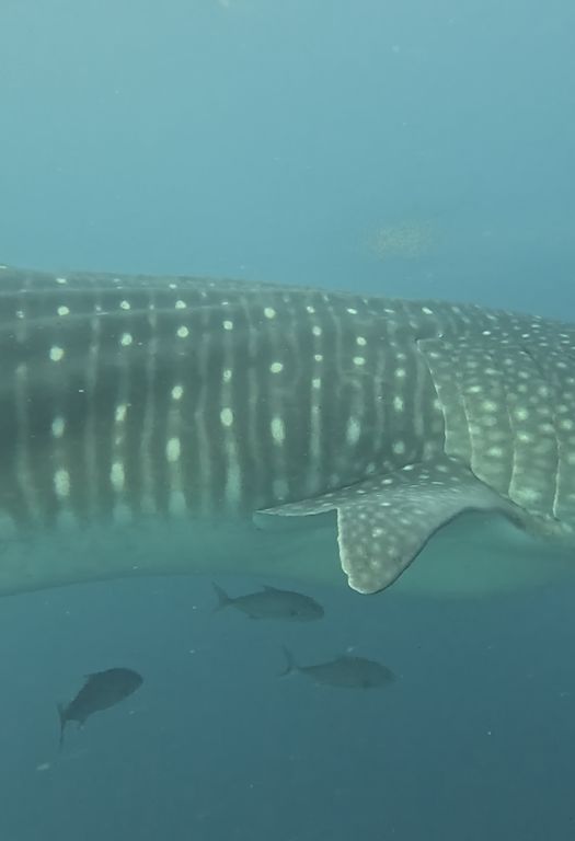 d088bdc2-17f8-4c38-9fdf-a369494ab39c