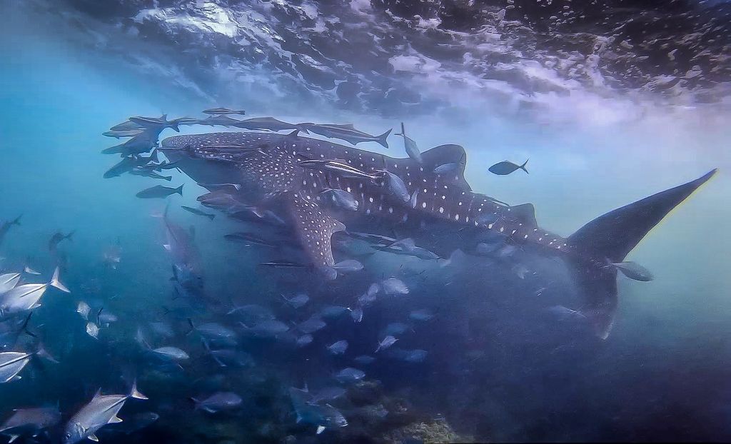 4545c582-3413-40b2-9d5d-782bb406b459