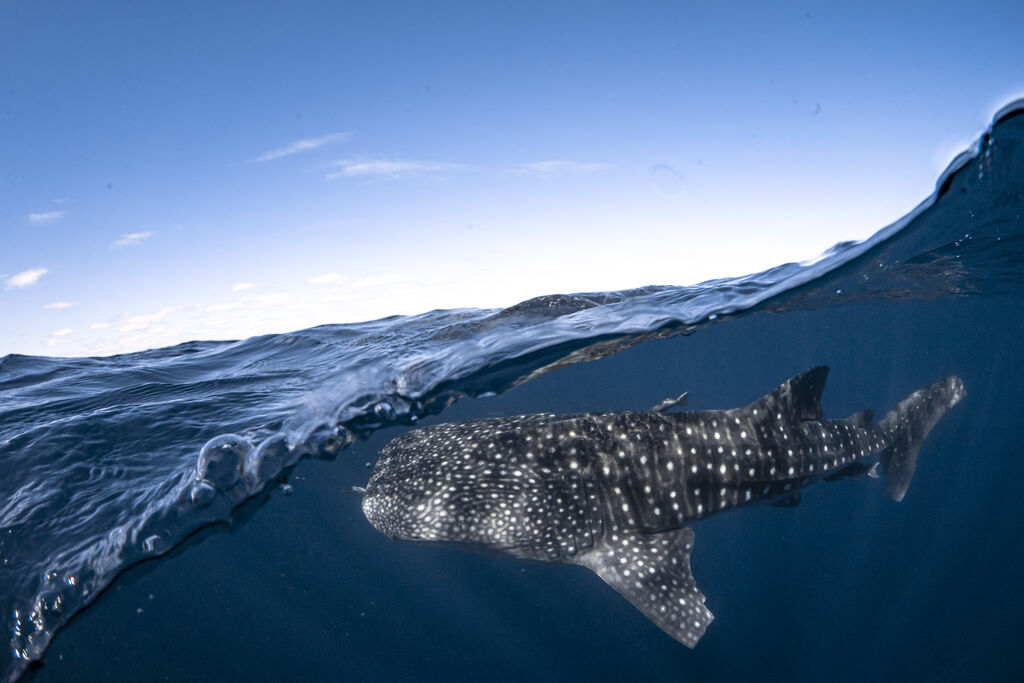 4357b6b2-8fc6-4296-9c86-2be9dc5bc182