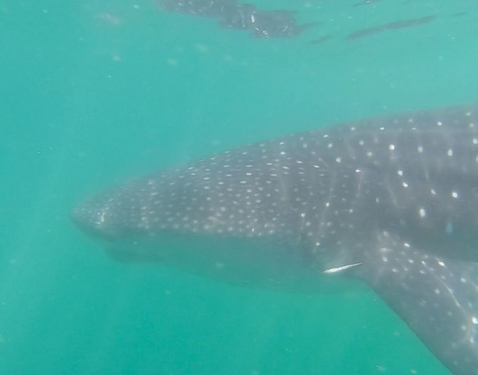 d57df192-d1e4-4a82-a11e-c77b026a4295