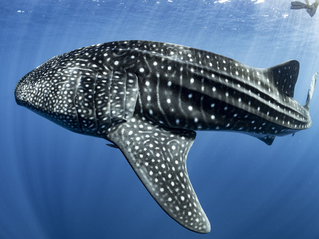 341c4769-4d75-4d5a-b16a-5891350c4e56