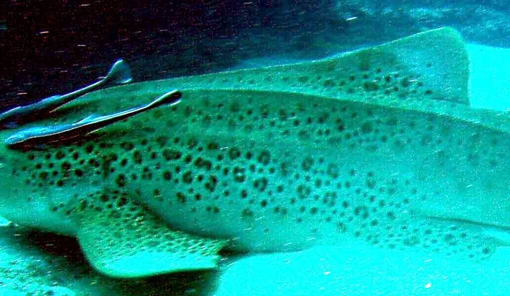 ef5a1906-6f24-457c-9b23-8f78967c09a3