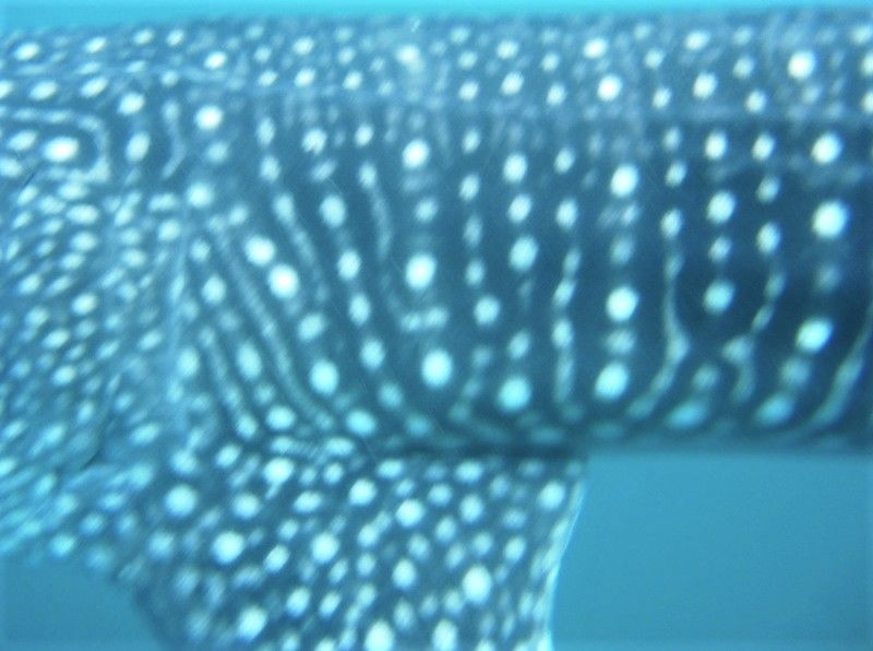 fff47669-6228-4be5-b1a7-dd9b2f22a79a