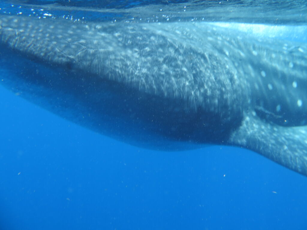 0d7d325e-0f5b-484f-a36e-50a801221e34