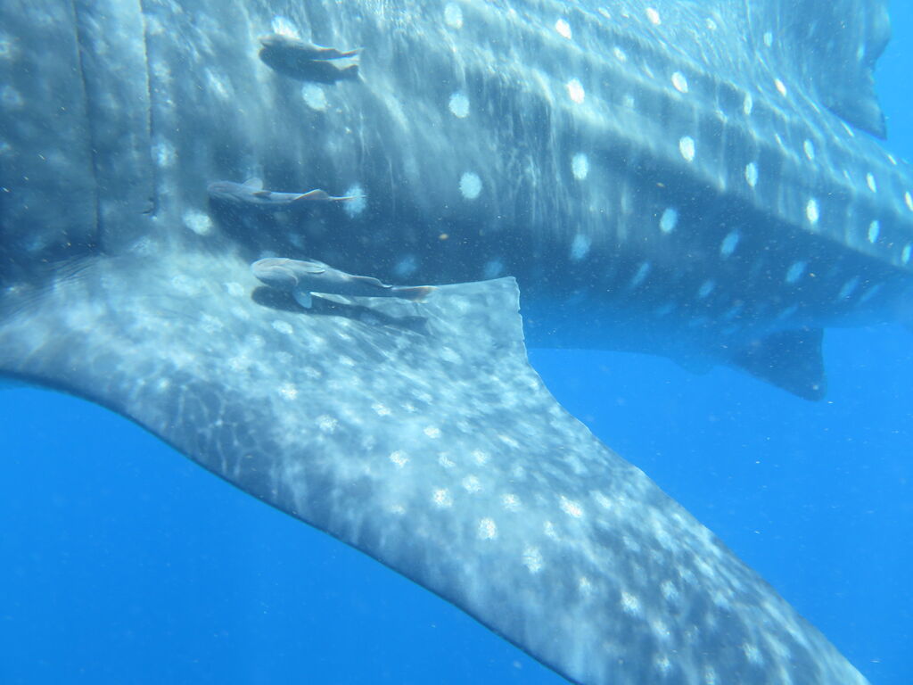 0d7d325e-0f5b-484f-a36e-50a801221e34