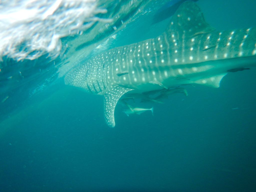 5d6c9bb2-d3ee-42cf-a04d-12b9d17699cc