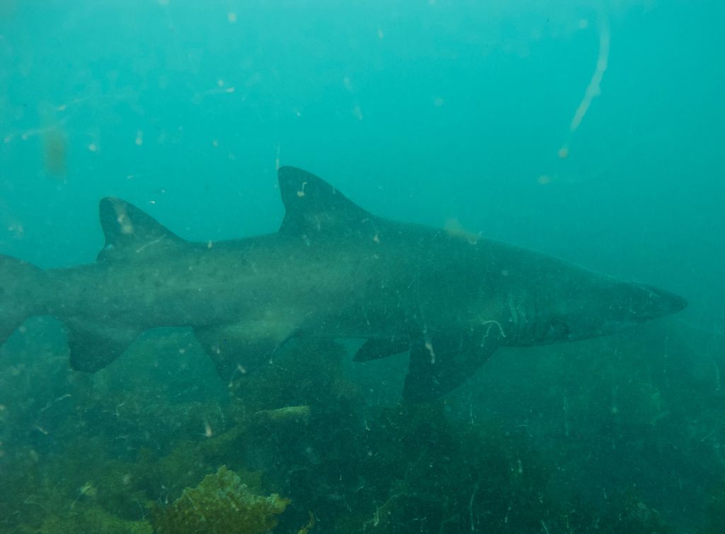 8ad97bc9-4966-4b24-8c46-c751f811cbda