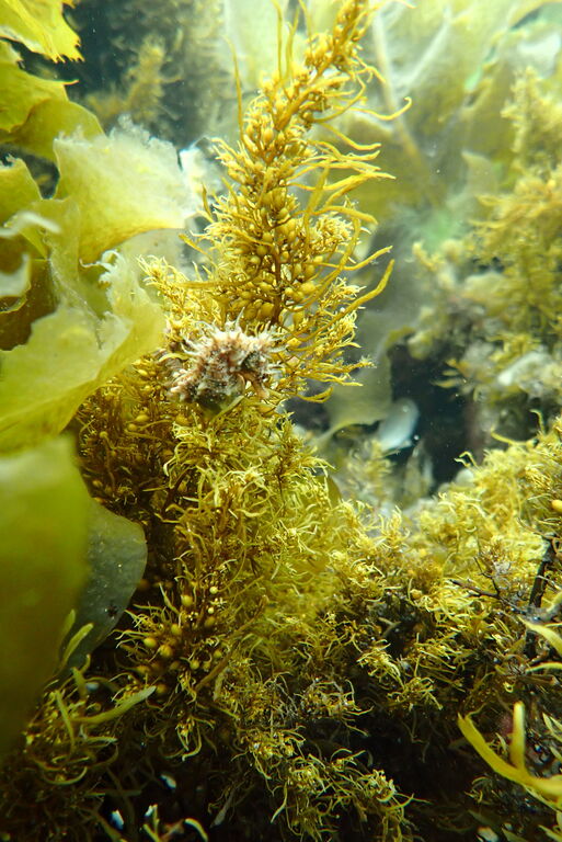 03fbd306-9860-44fa-b044-d32068405085