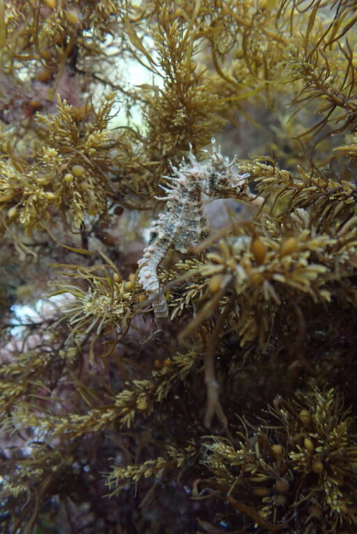 03fbd306-9860-44fa-b044-d32068405085