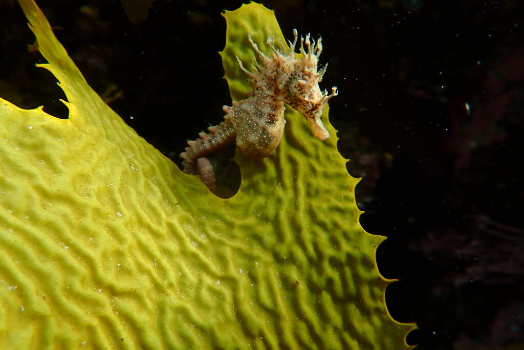 03fbd306-9860-44fa-b044-d32068405085