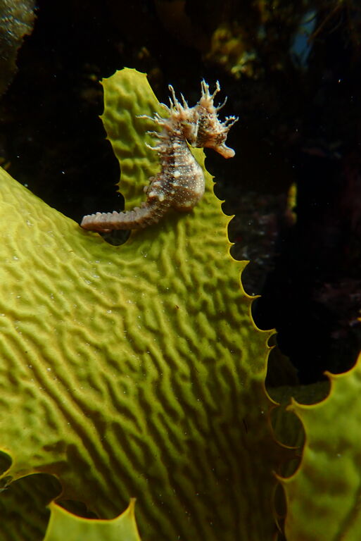 03fbd306-9860-44fa-b044-d32068405085