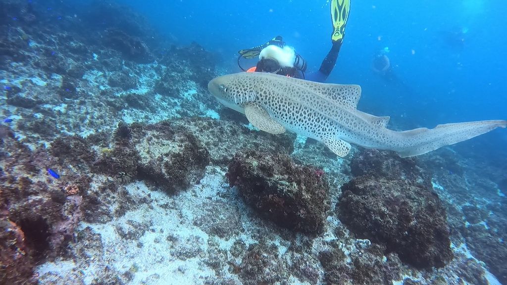 c6fd5142-1f55-4509-9536-7e96516519b8