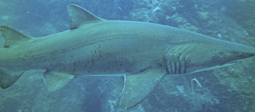 af85ed89-3720-4c85-b3c9-fc1d2b6489cb