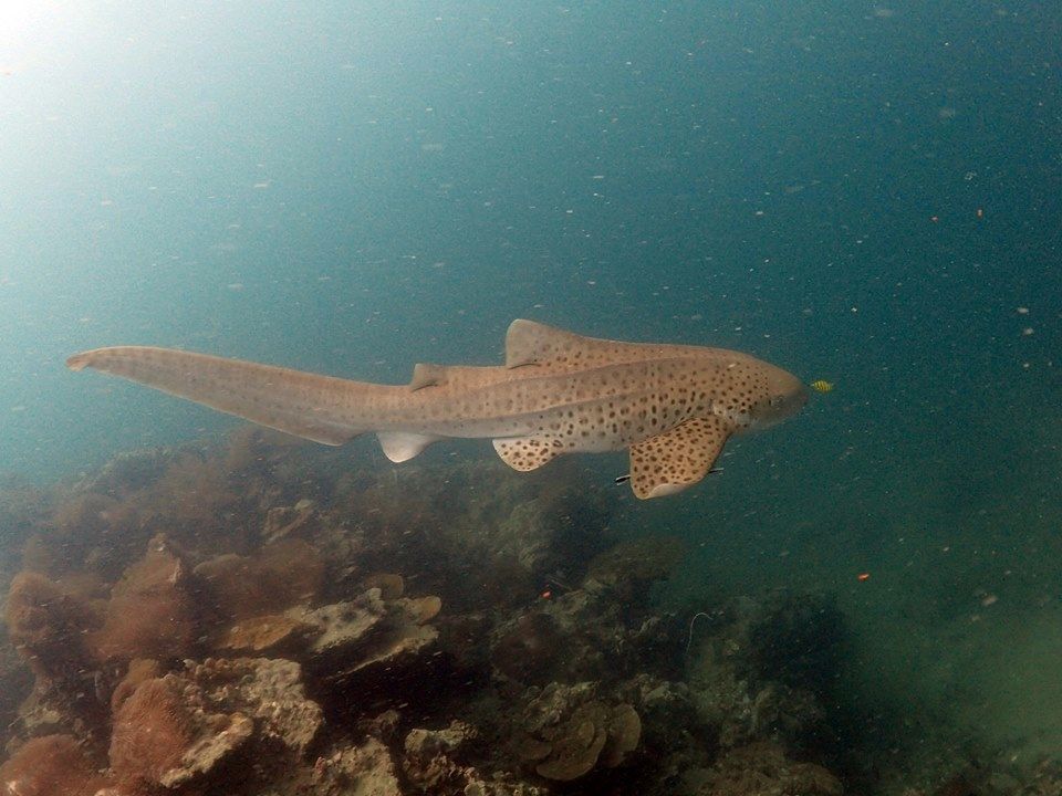 291550b8-d49b-4758-8ae0-67bd05a40cc6