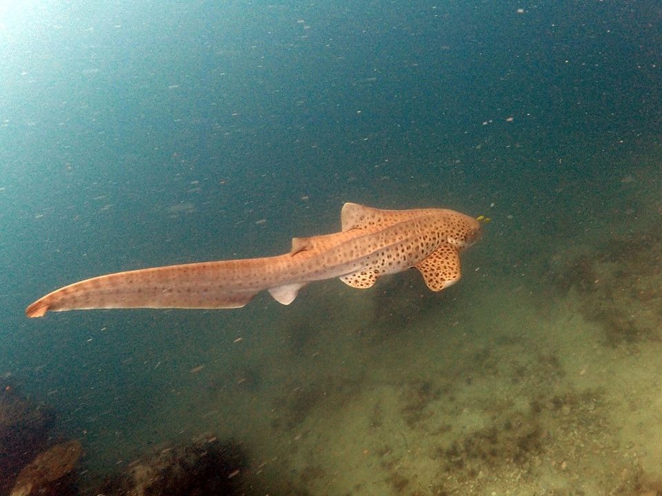 291550b8-d49b-4758-8ae0-67bd05a40cc6