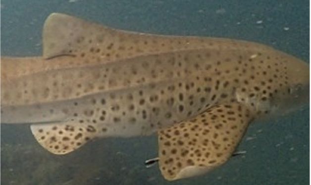 291550b8-d49b-4758-8ae0-67bd05a40cc6