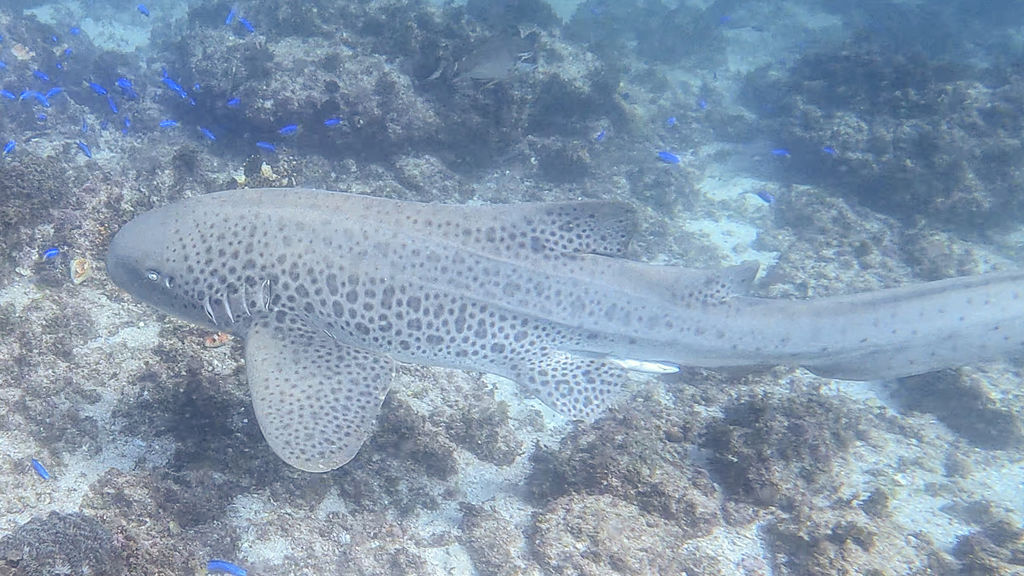 23b73a8d-a303-47eb-8a18-485a664d129c