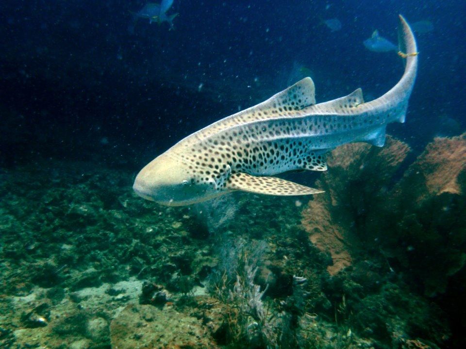 7d8a3bd2-49ec-45a5-8cb1-6fa2d4c559b3