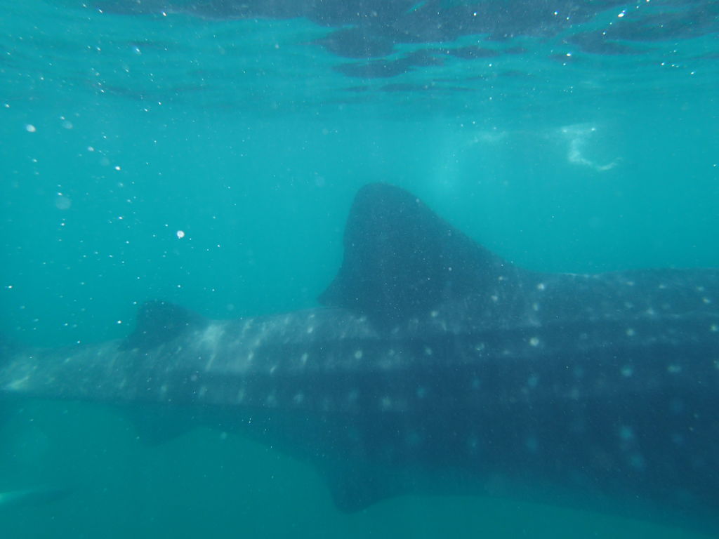 d54d6acf-f0b7-447b-ac16-396e72ea72a4