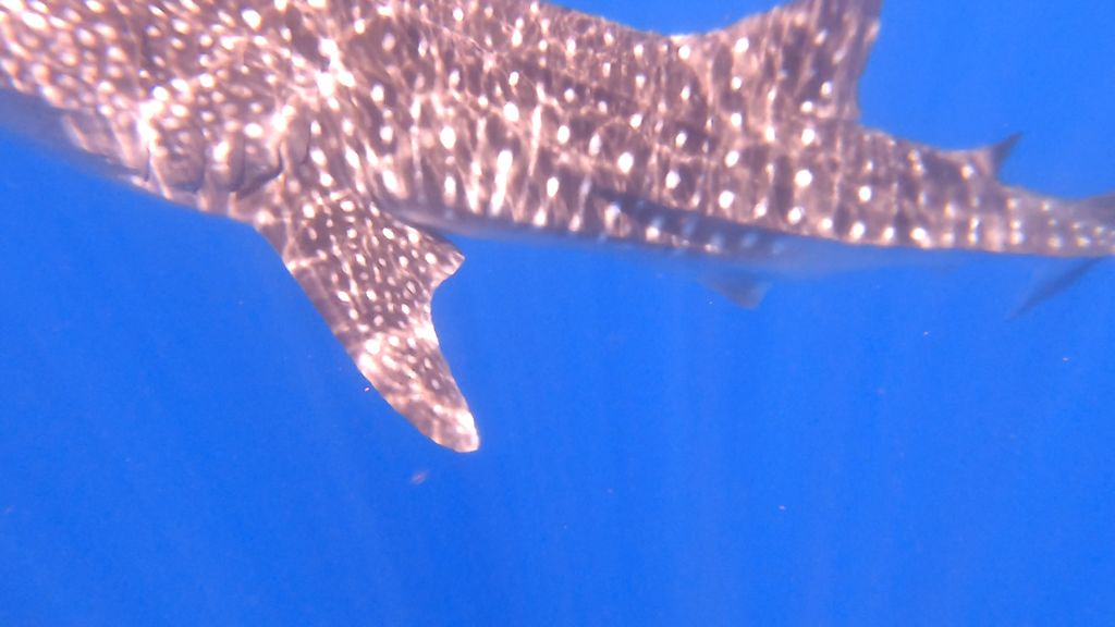 747b3825-1208-4ffa-bc0d-02e3117b3c47