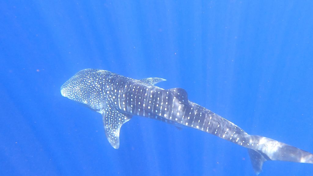 747b3825-1208-4ffa-bc0d-02e3117b3c47