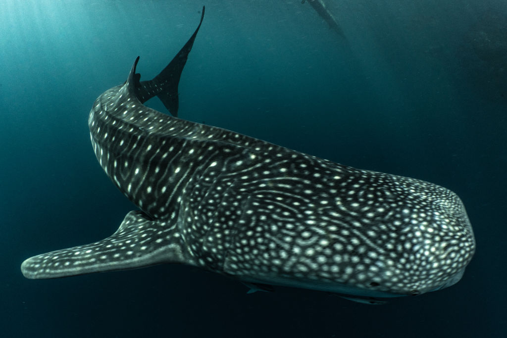 7ba0c6dd-ef80-44ba-aeb3-b46eadf4a6ec