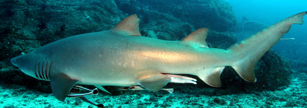 deece9a3-b33e-49b6-8c24-b06bd439e53d