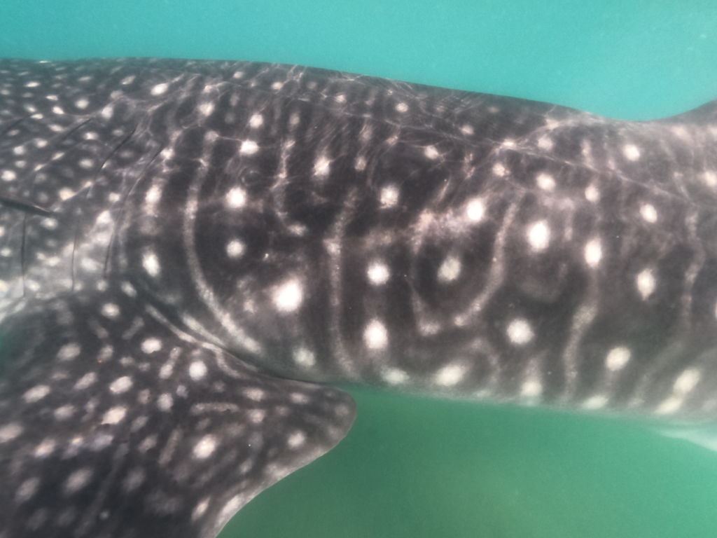 27416857-a44e-49c5-8bda-3fa29b8d3a95