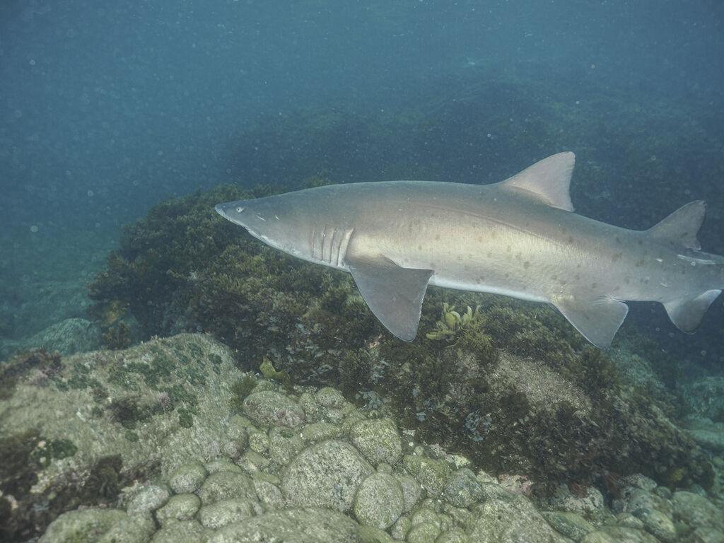 858eec47-7cff-4ecd-be4d-ed5a1cd687e1