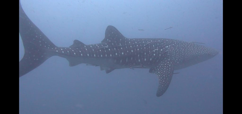 e329da26-1771-4e78-91d7-137a3301f0ad