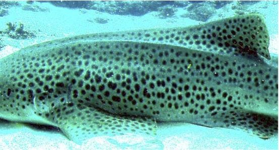 b18a931e-39f3-44ba-af7c-7c794f95cdb1