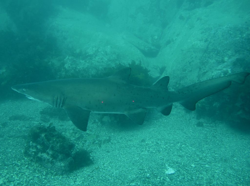 935e30a9-03ad-46ba-8c2b-fcbecbe7e417