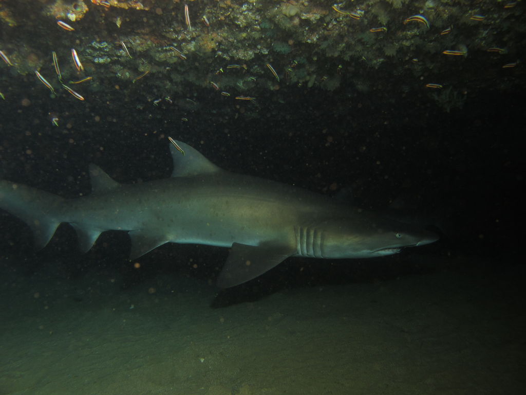 fbef563c-f11a-42e3-ba3e-208e4201314d