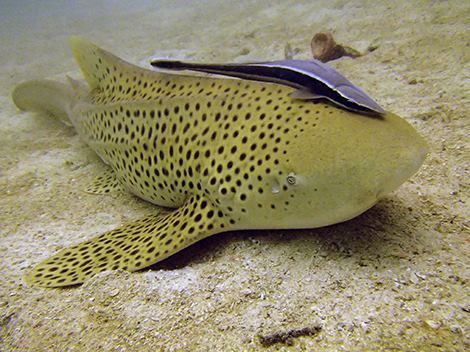 0b8fb407-9489-4032-a2cb-ddcc9b9eec1f