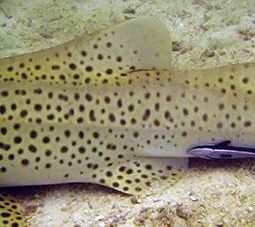 0b8fb407-9489-4032-a2cb-ddcc9b9eec1f