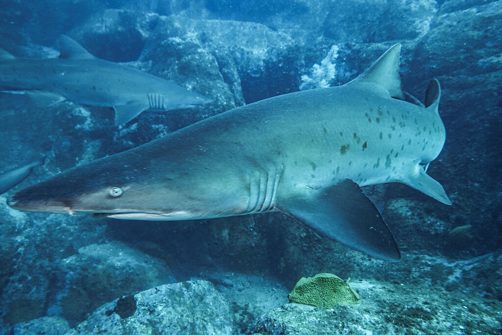 1308c348-9187-4fd0-9a03-87cb6df4e5ec