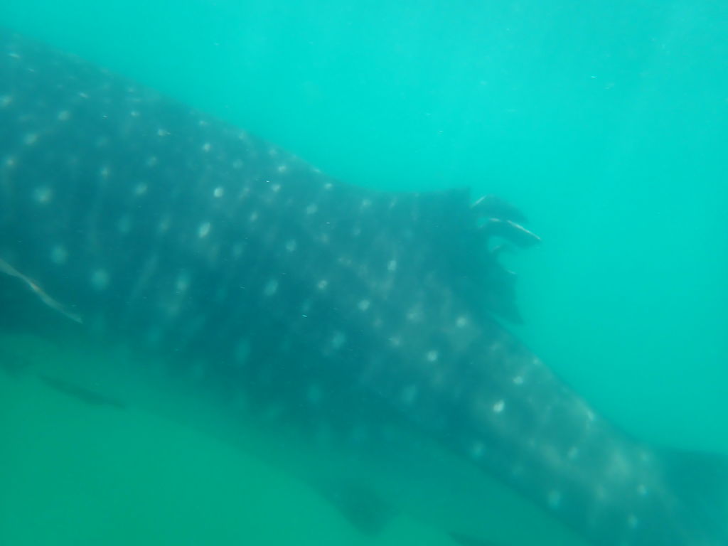 09f330c4-17ca-4fd0-a4eb-99cfbffcc0f8