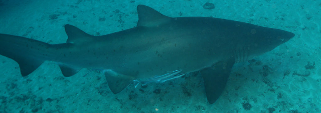 1fe04f19-e7f3-482d-9f26-9d744053e041