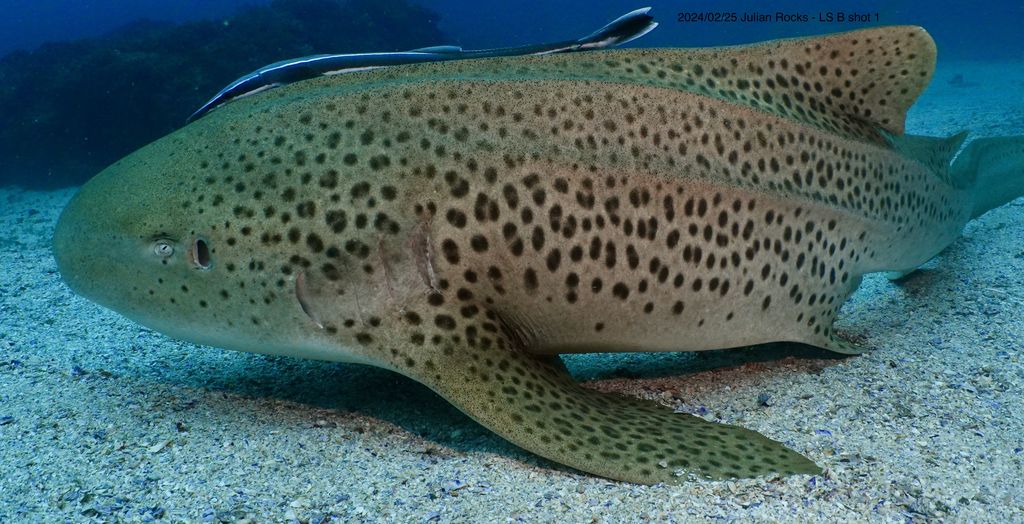 9f80584e-b1ed-4b3f-928f-06d71e41b4ca