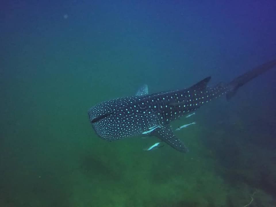 138d49fb-4823-4dd3-b3f6-3174503af6cc