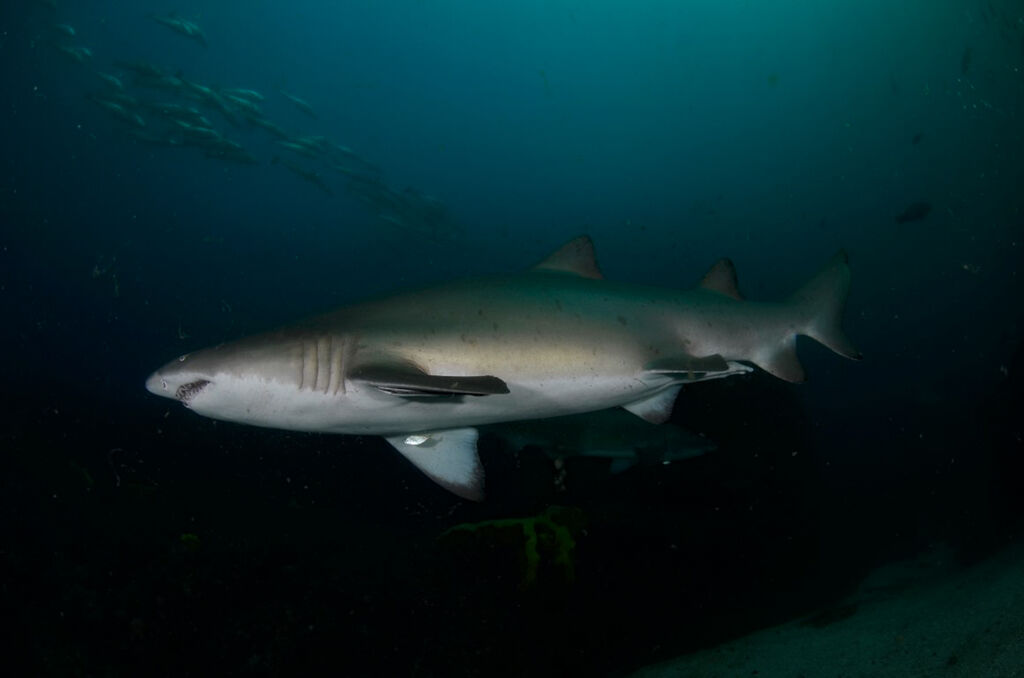 aebf13ee-5e07-4b7e-a37b-9fd630dbf1c7