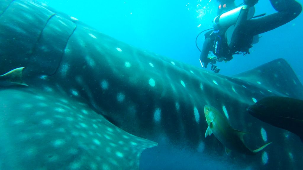 14b4db02-8ae9-4c3a-a82f-a28b307db2ca