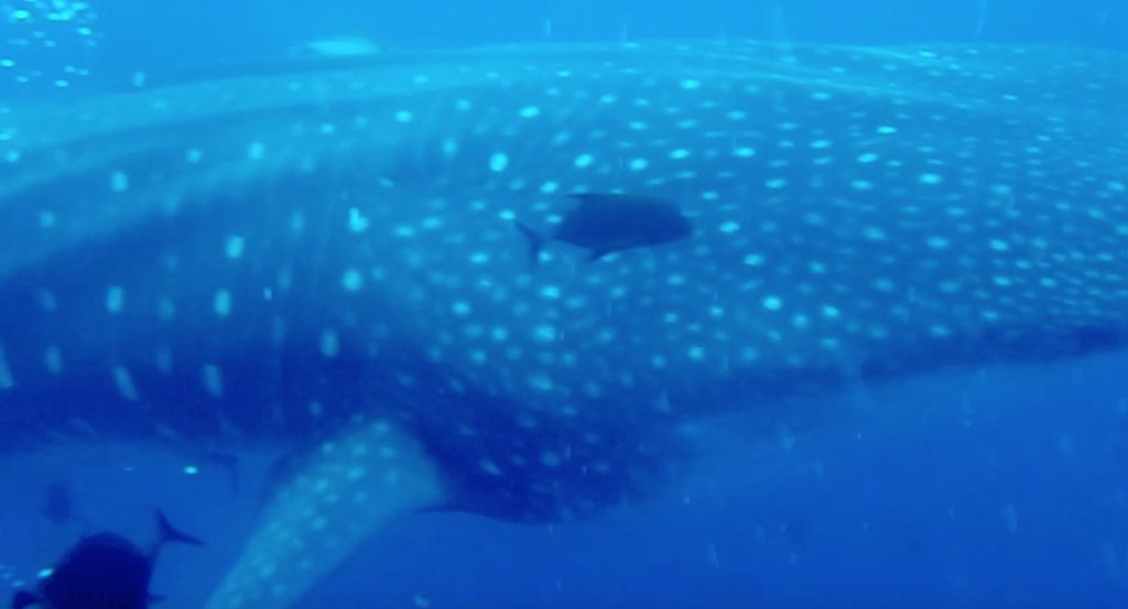 14b4db02-8ae9-4c3a-a82f-a28b307db2ca