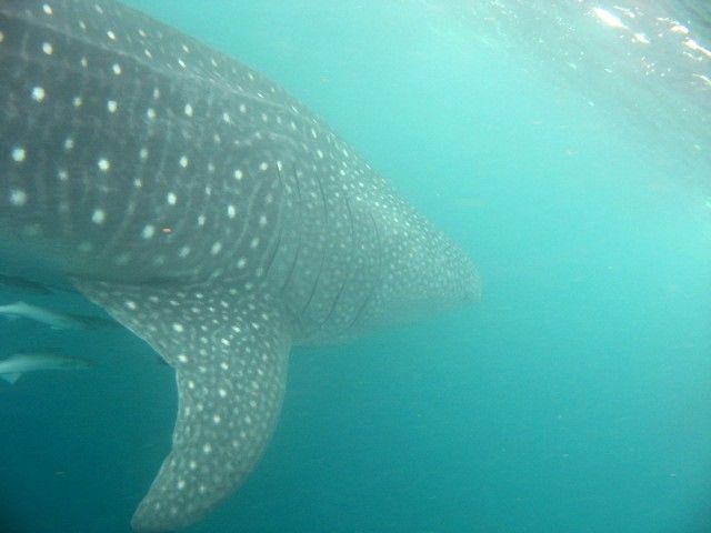 a436fa9b-4b0f-4fd6-81c4-40de48c68fbf